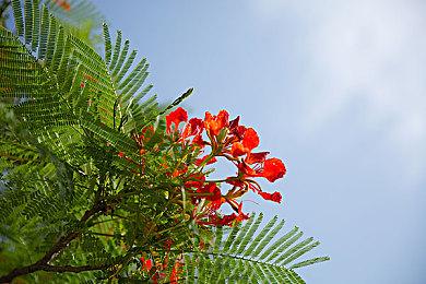 《巫师》真人剧第五季续订 第三季6月29日开播